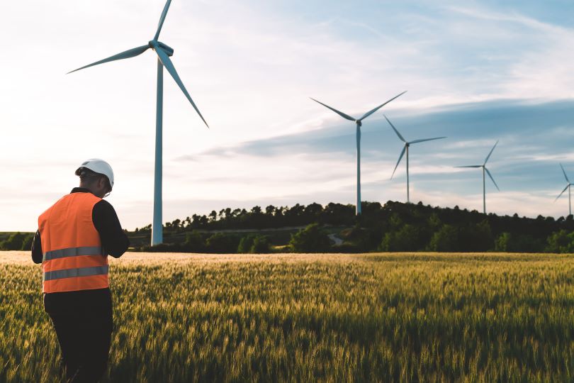 Person in solar wind farm