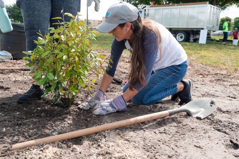 Fracht employee planting a small plant