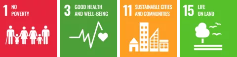 UNSDG Icons Europe