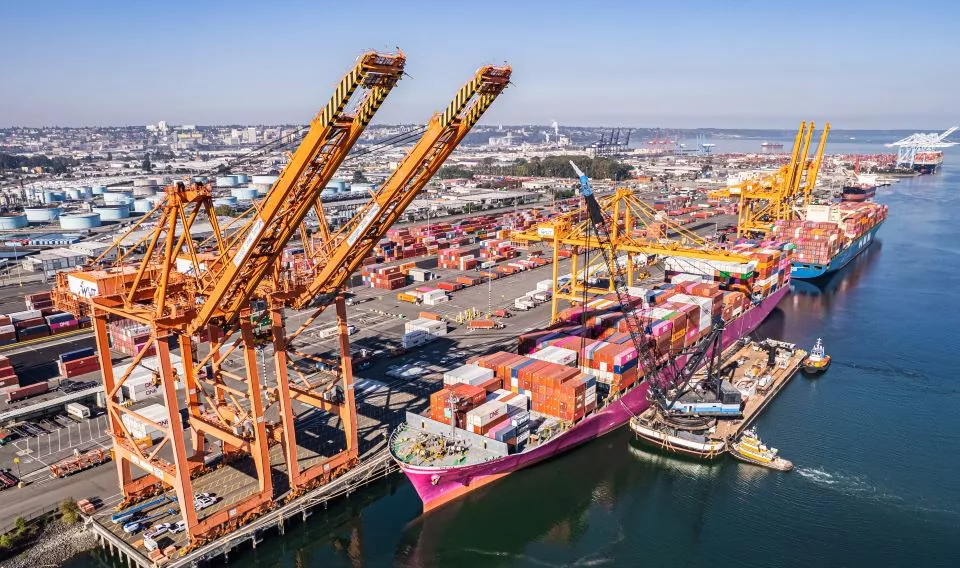 Large pink vessel with shipping containers