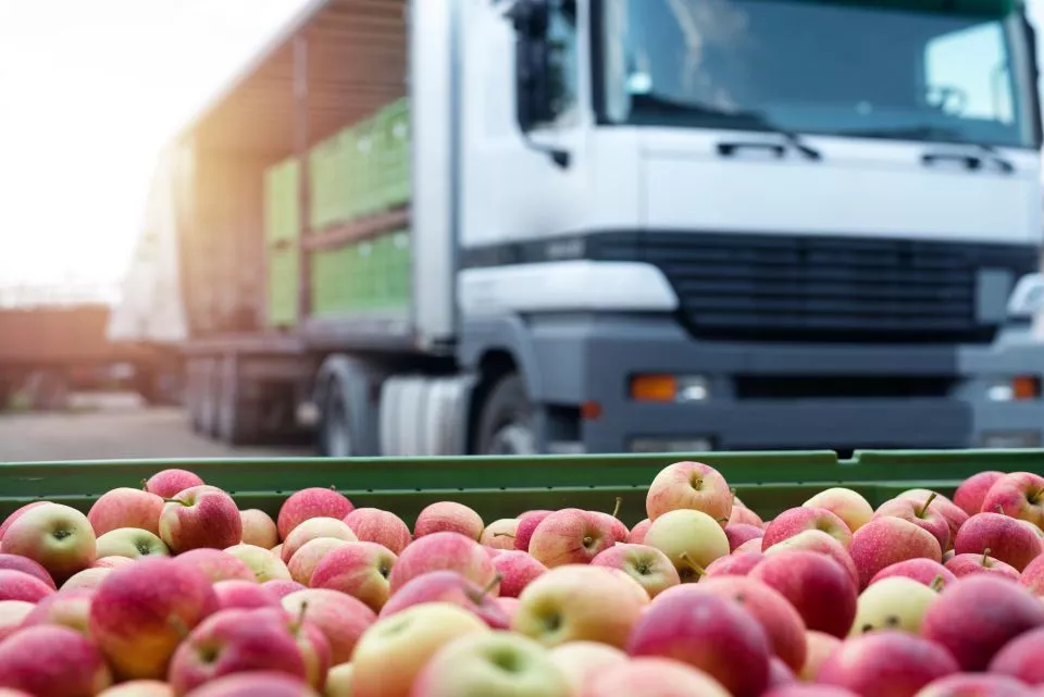 Truck in the background with apples in the foreground