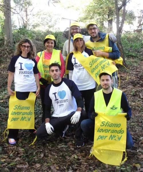 Employees cleaning up in woods